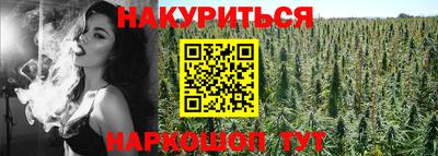 соль ск Гатчина