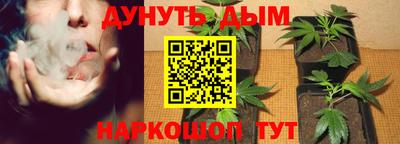 соль ск Гатчина