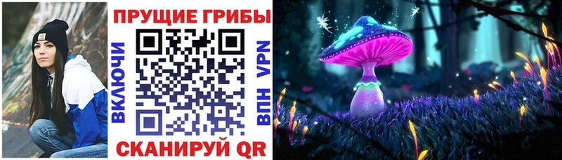купить наркоту  Карталы  Галлюциногенные грибы мухоморы 