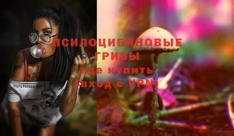 Галлюциногенные грибы Psilocybe  Карталы 