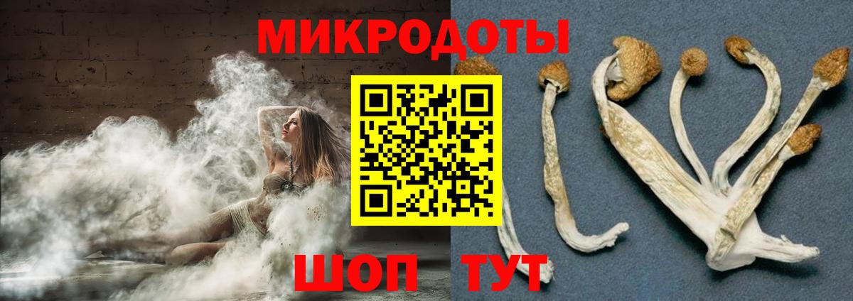 Карталы  купить наркотики сайты  Вход с VPN  Галлюциногенные грибы мицелий 
